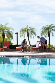 grand hyatt tampa bay