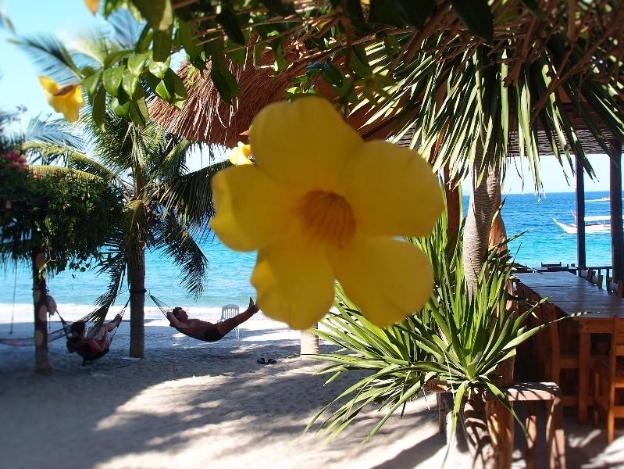 bamboo house beach lodge and restaurant