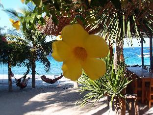 bamboo house beach lodge and restaurant
