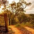 kurrajong trails and cottages