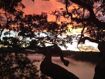 kurrajong trails and cottages