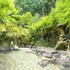 shinonsen
