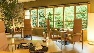 kinnotake tonosawa adult only