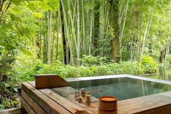 kinnotake tonosawa adult only