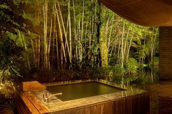 kinnotake tonosawa adult only