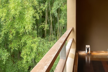 kinnotake tonosawa adult only