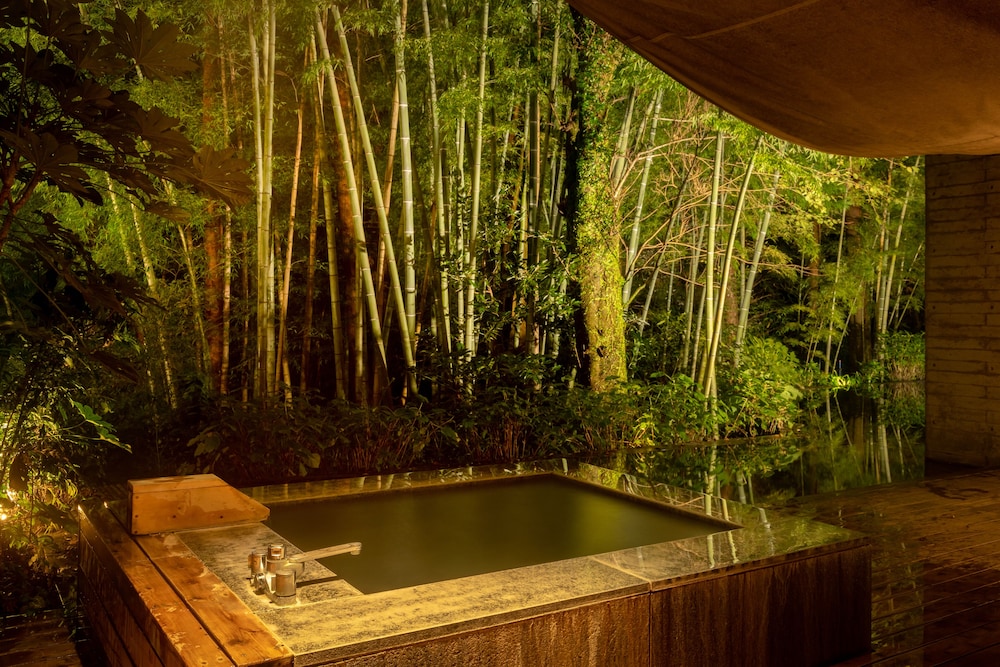 kinnotake tonosawa adult only