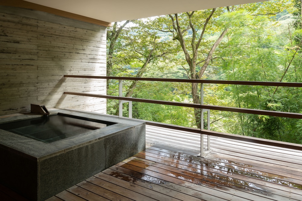 kinnotake tonosawa adult only