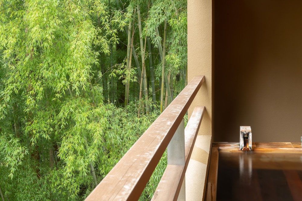 kinnotake tonosawa adult only