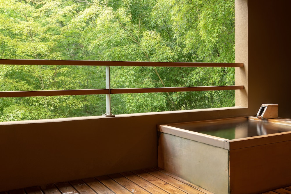 kinnotake tonosawa adult only