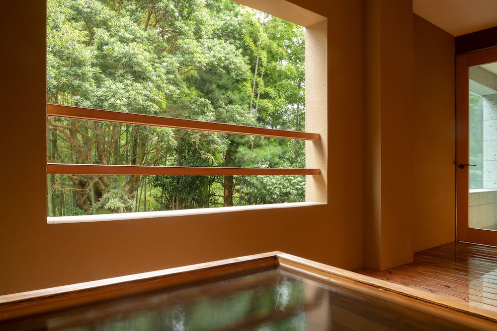 kinnotake tonosawa adult only