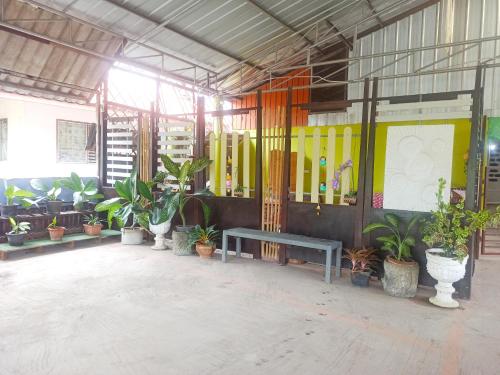 mai khao