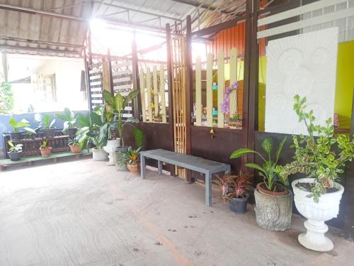mai khao
