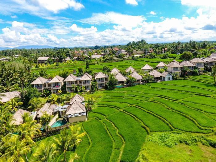 mesari hotel ubud