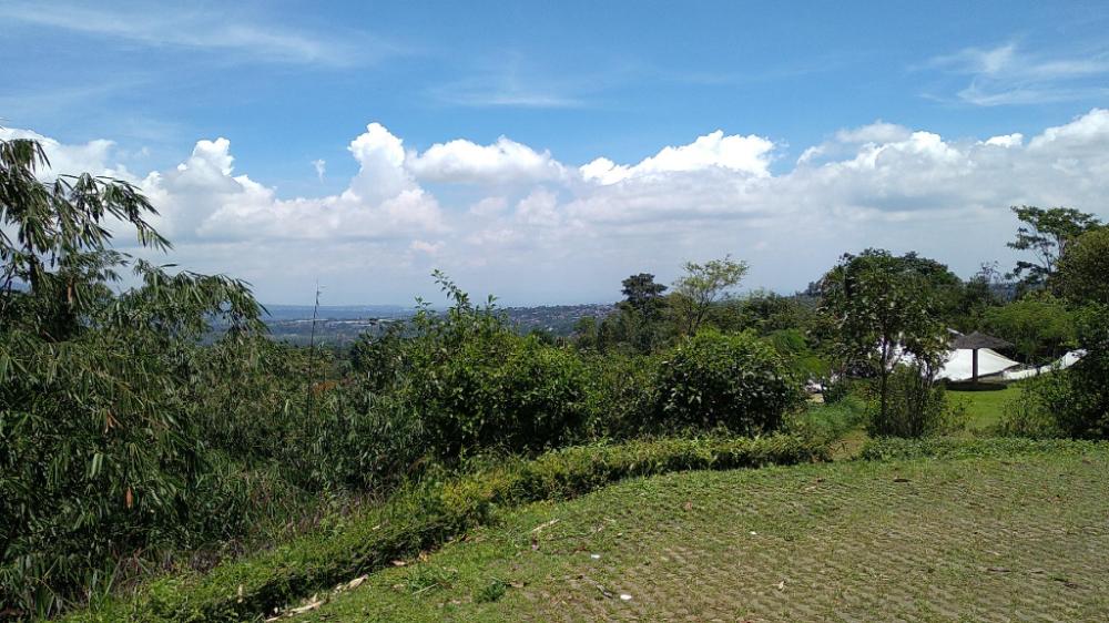 bogor