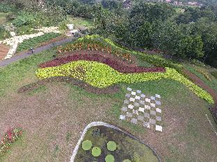 bogor