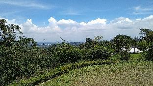 bogor