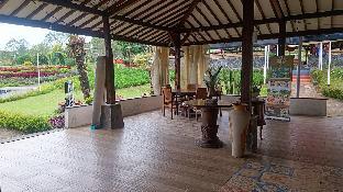 bogor