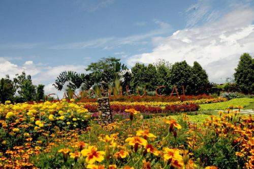 bogor