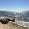 shelter island heights