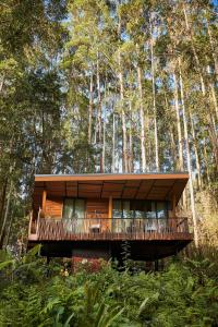 oneandonly gorillas nest