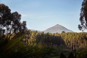 oneandonly gorillas nest