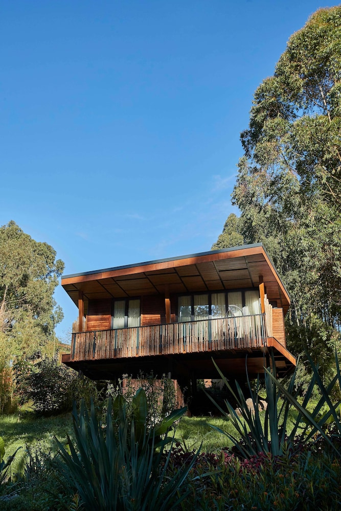 oneandonly gorillas nest