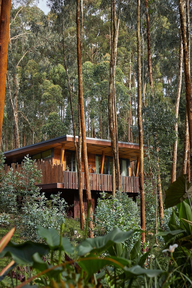 oneandonly gorillas nest