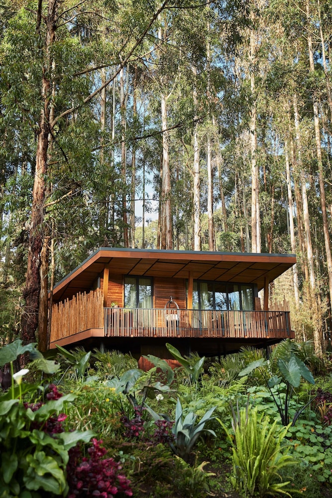 oneandonly gorillas nest