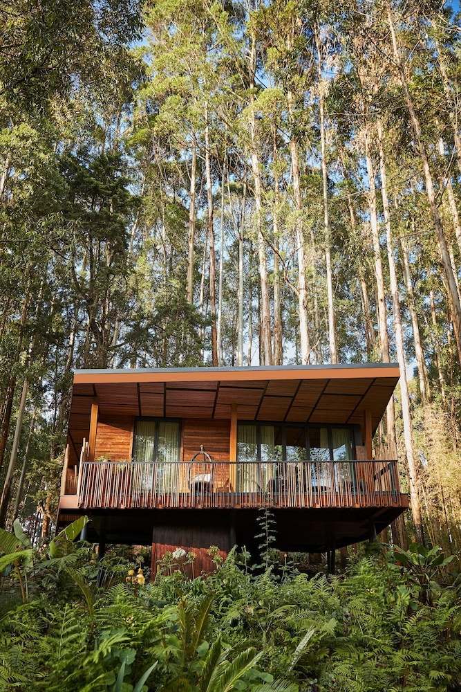 oneandonly gorillas nest