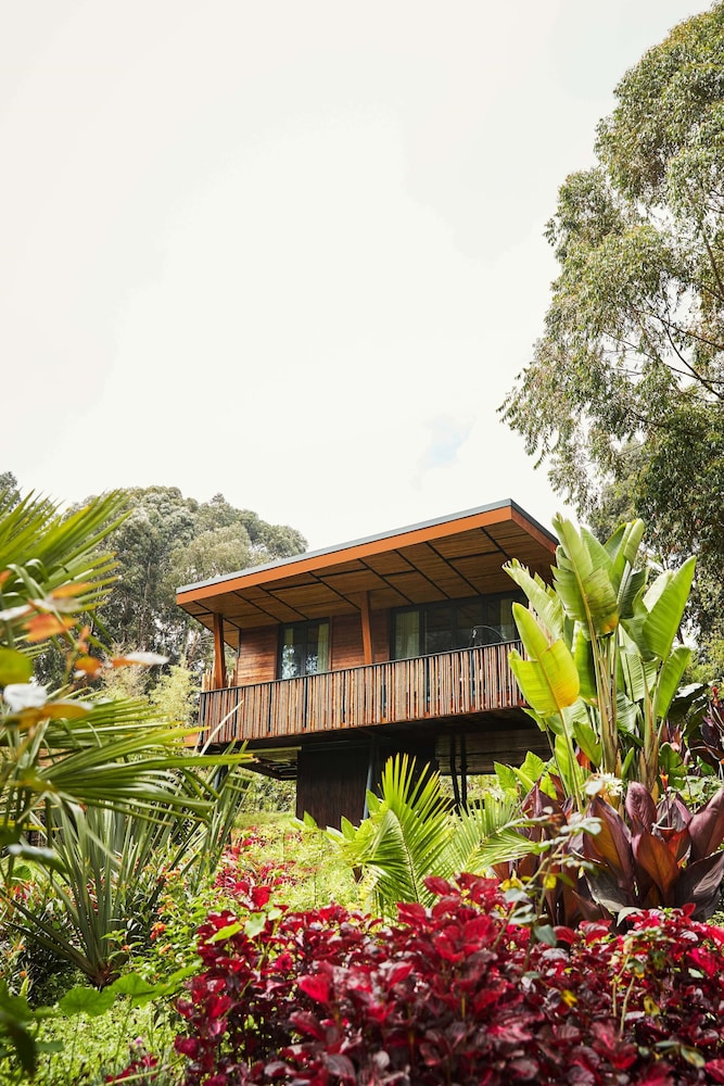 oneandonly gorillas nest