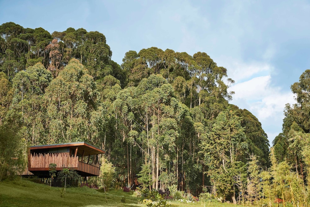 oneandonly gorillas nest