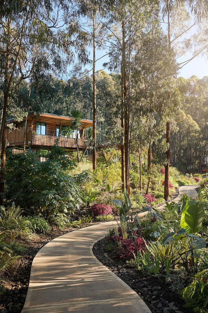 oneandonly gorillas nest