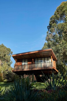 oneandonly gorillas nest