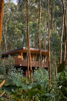 oneandonly gorillas nest