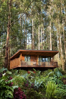 oneandonly gorillas nest