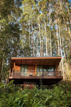 oneandonly gorillas nest