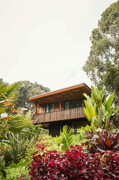 oneandonly gorillas nest