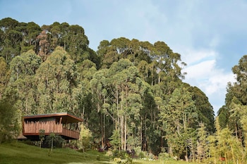 oneandonly gorillas nest