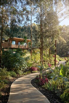 oneandonly gorillas nest