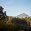 One&Only Gorilla's Nest,In The Mountains,5 star