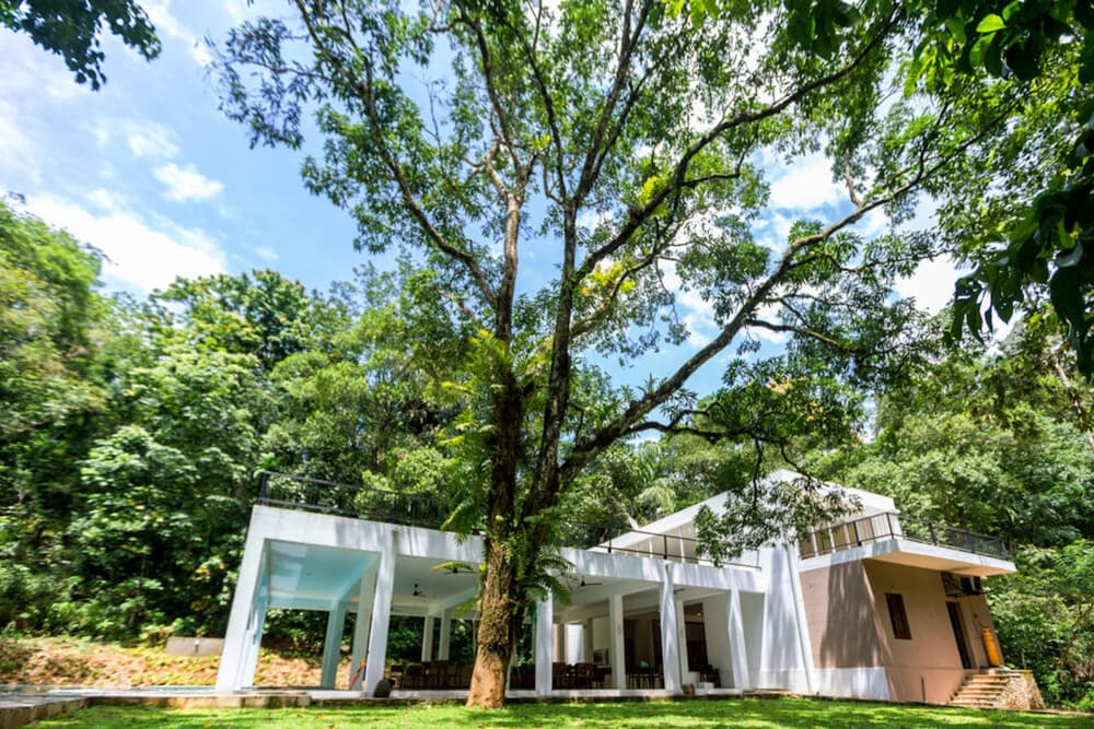 palmstone retreat kithulgala