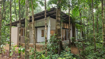 palmstone retreat kithulgala