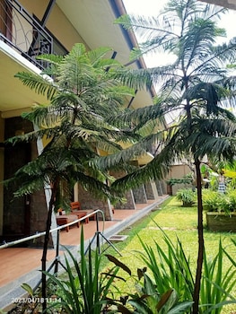 ommaya hotel and resort