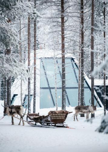 Glass Resort,Santa Claus Village>>Rovaniemi,5 star