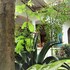 pura sanda villa