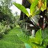 pura sanda villa