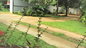 pura sanda villa