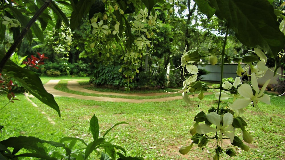 pura sanda villa