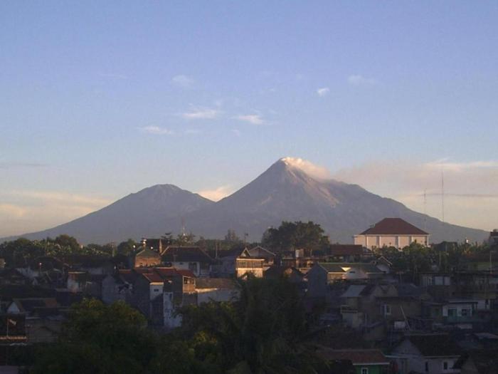 oasis studio hotel satu